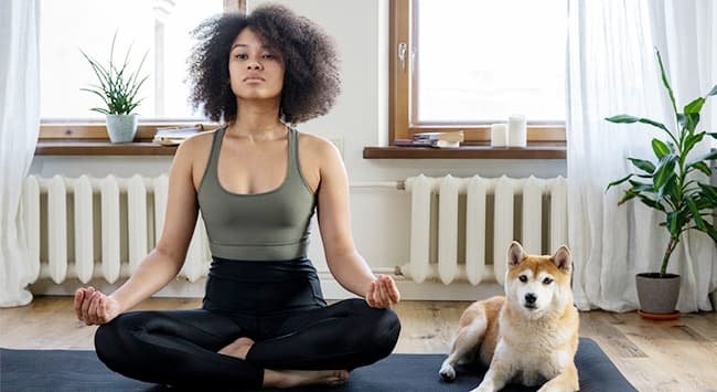 10 raças de cães perfeitas para apartamentos