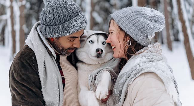 Aqui estão Histórias sobre pets que vão encantar seu coração