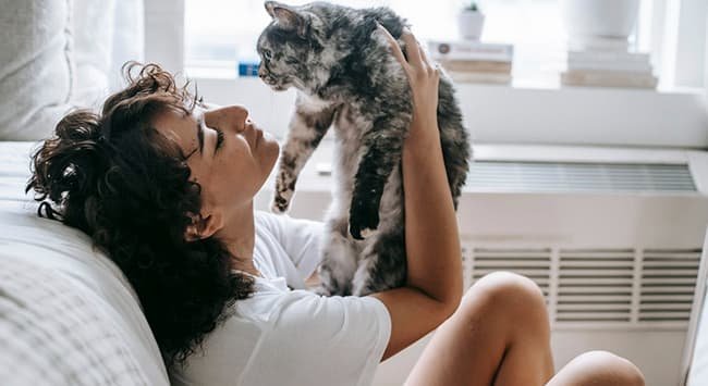 Como cuidar de um filhote de gato