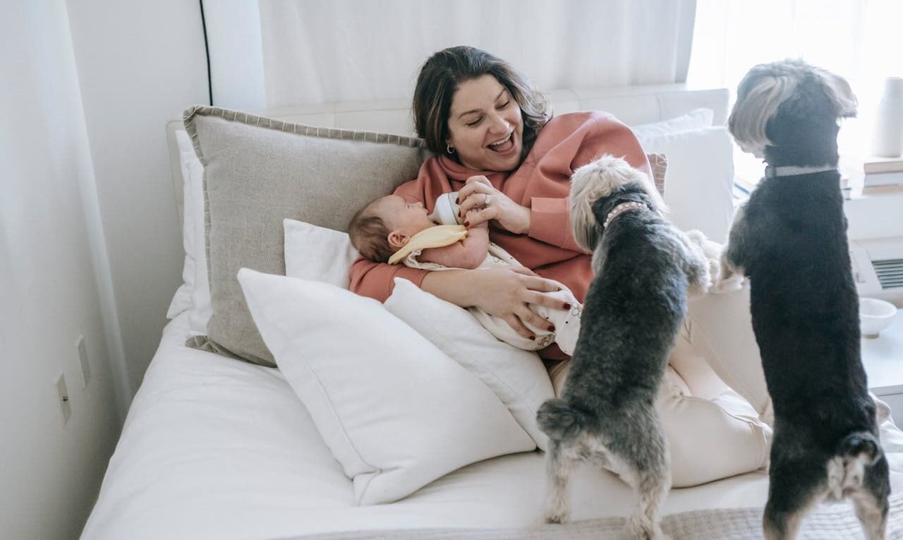 Descubra os 10 alimentos proibidos para cães e gatos