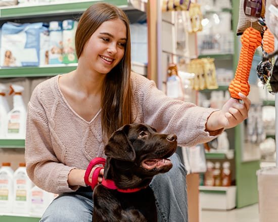 Os cães já sabem que chegou a nossa loja virtual