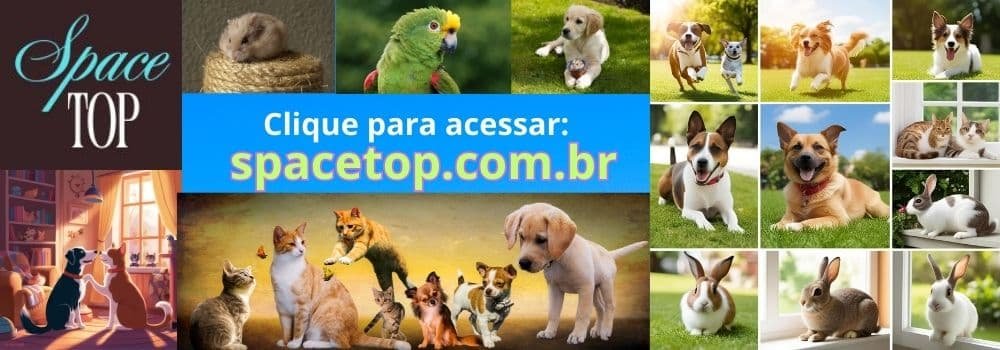 Clique para acessar pets na spacetop (1)