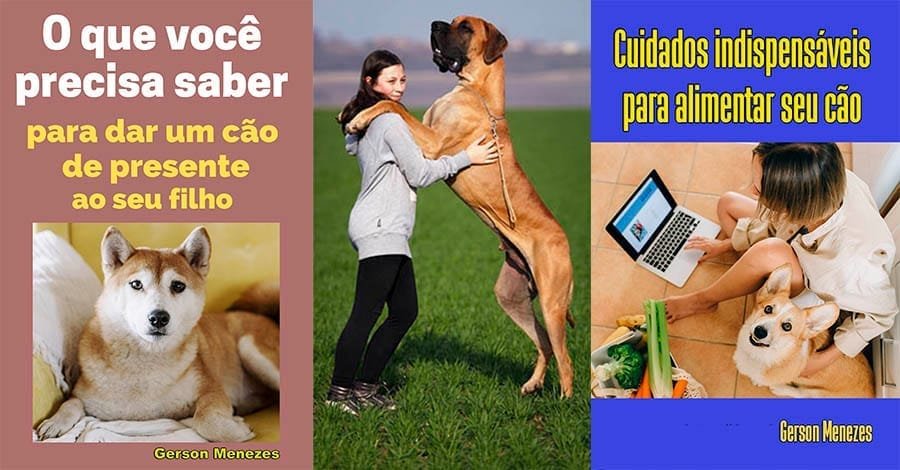 O que você precisa saber para dar um cão de presente ao seu filho