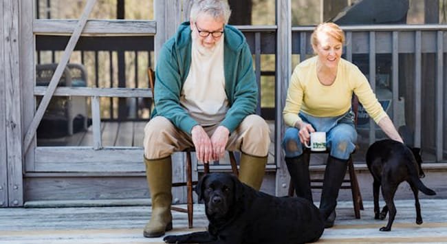 Descubra as diferenças curiosas entre cães fêmea e macho