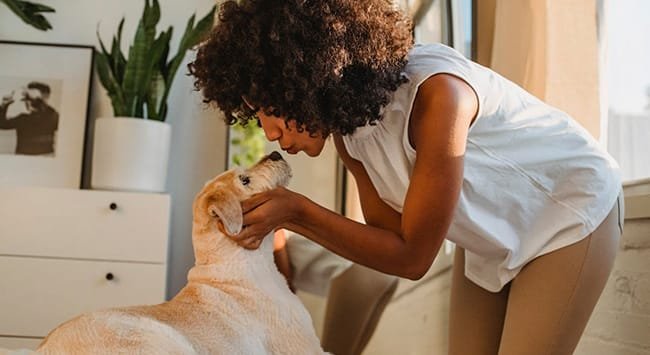 Descubra como os pets melhoram sua saúde mental e emocional