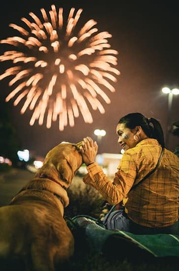 Saiba como proteger seu cão dos fogos