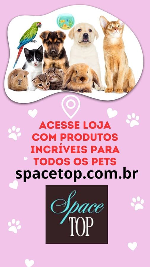 Loja divertida para pets